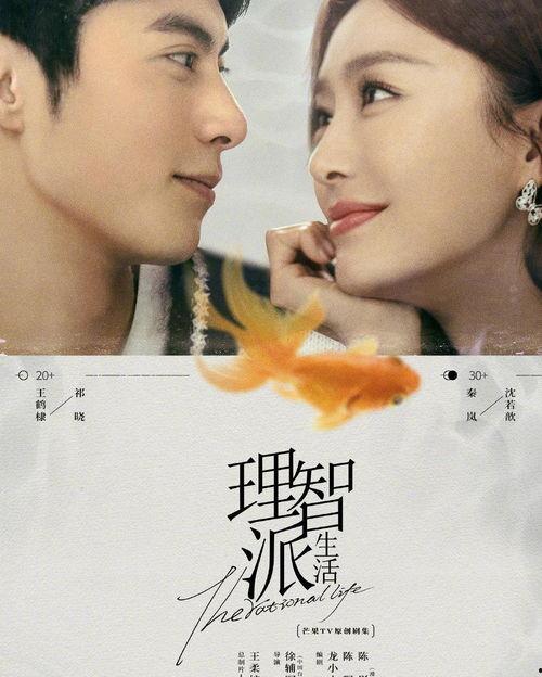 王鹤棣秦岚爆料视频播放,幕后故事大揭秘